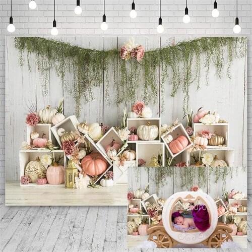 Avezano Photography Backdrop Birthday Party Baby Shower Pink Pumpkin Flowers Green Plants Backgrounds For Photo Studio Photozone