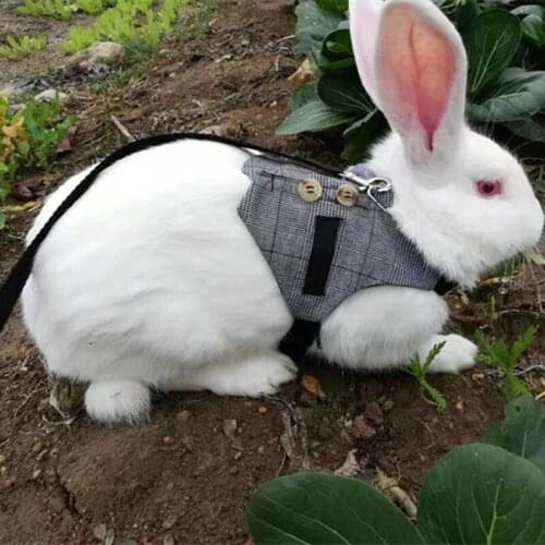 Rabbit Harness Pet Strap Chinchillas Guinea Pig Vest Clothes Multipurpose Suit Small Animals Pet Leash Lead Vest Arnes Conejo