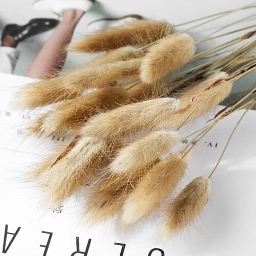 30Pcs Real Pampas Grass Decor Natural Dried Flowers Rabbit Tail Grass Bouquet For Home Real Plants Romantic Wedding Decoration