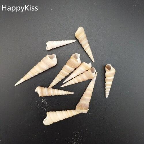 Hot new 10 pcs/lot natural sea shell snail/trumpet shell wedding festival/party decoration conch natural crafts