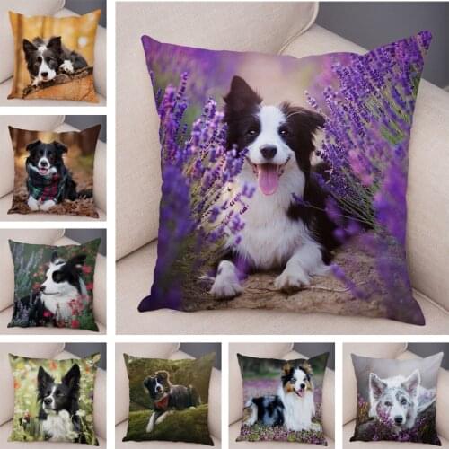 Cute Scotland Border Collie Pillowcase Dog Printed Soft Plush Pillow Case 45*45cm Decor Pet Animal Cushion Cover for Sofa Car Ho