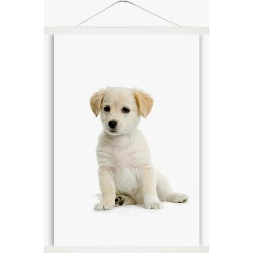 White Color Magnetic Poster Hanger Frame Picture Holder 12inch 16inch for Artwork Paintings Photos Maps 30cm 40cm 50cm