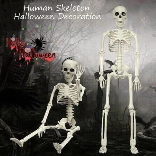 Halloween Prop Skeleton 40cm Standable Skeleton Skull Hand Lifelike Human Body Poseable Anatomy Model Party Festival Decoration