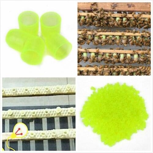 1000pcs Plastic Yuwang Taiwanese bee King Cup wax bowl queen training box king cover Wang keeping tools