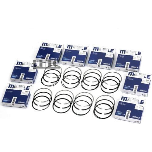 8 x Piston Rings Repair Kit For BMW 550i 750i X5 4.8 N62B48 E60 E61 E65 E53 E70 N62B48 / N62TUB48 4.8L V8 Naturally aspirated