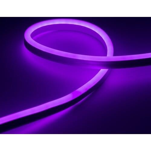 Neon Light Lighting