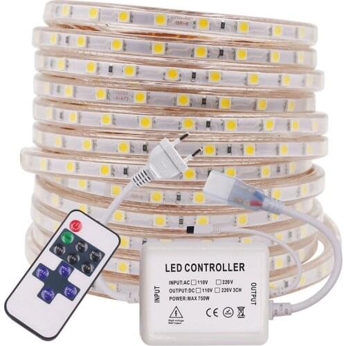 SMD5050 60Leds/m LED Strip Light with Dimmer 110V 220V Flexible Ribbon Tape Waterproof Stripe Light Diode with EU/US/UK/AU Plug