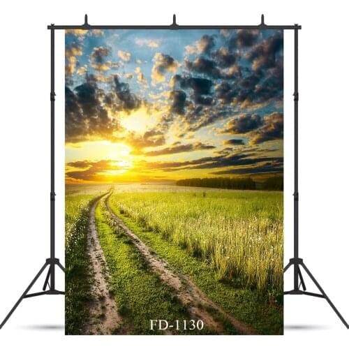 Field Pathway Sunset Photographic Background For Photo Shoot Children Kids Baby Vinyl Cloth Printed Photo Backdrop Photophone