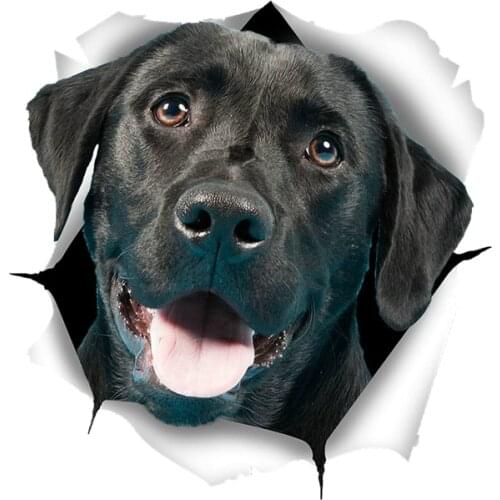 3D Cute Black Labrador Sticker Dog Car Sticker Decal for Wall Car Toilet Room Luggage Skateboard Laptop 15cm*15cm