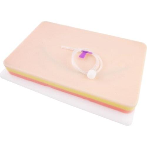 Venipuncture Skin Vascular Blood Vessel Injection Module Teaching Aids Simulated For Students In Medical College