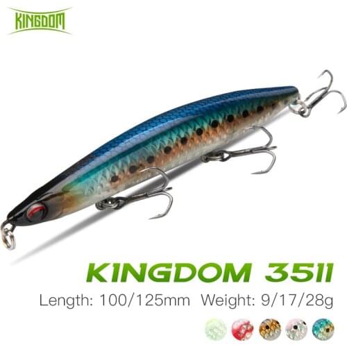 Kingdom Pencil Fishing Lure 100mm 125mm Floating & Sinking Hard Artificial Crankbait For Peche Bass Pike Trout Fishing Jerkbait
