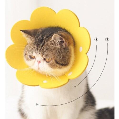 Sunflower Shaped Cat Recovery Collar Elizabethan Collar Wound Healing Protective Cone for Kitten Puppy Dog Accessories XS-L