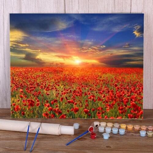 Poppy Flower Coloring By Numbers Painting Complete Kit Acrylic Paints 50*70 Boards By Numbers Decorative Handicraft
