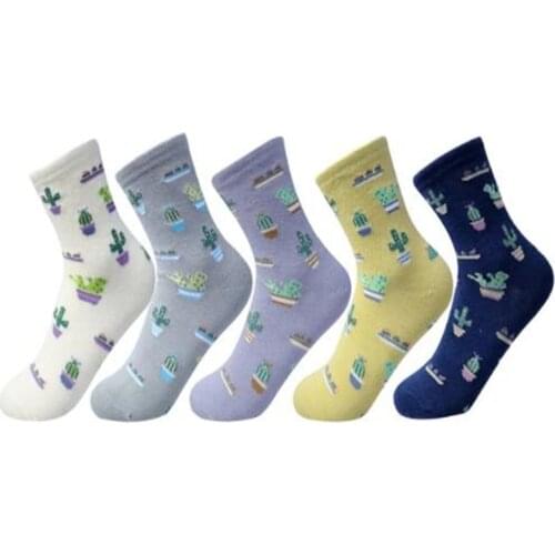 2021 New Women Cotton Plain Jacquard Cactus Fresh And Simple Wild Ladies Trend Harajuku Comfortable Socks Four seasons Dropship