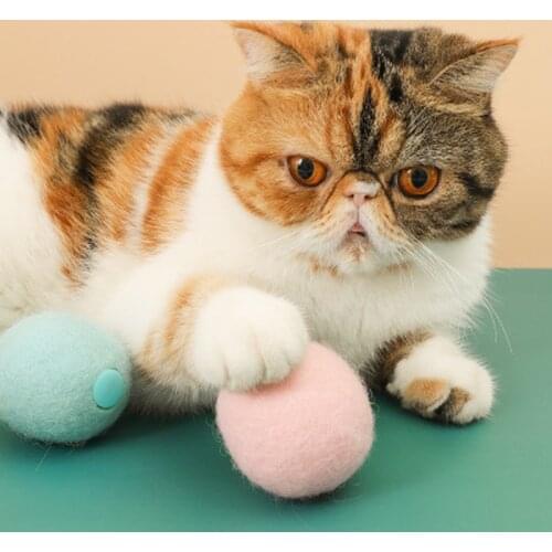 Funny Cat Toys Smart Touch Sound Ball Catnip Pet Training Supplies Simulation Squeaker Products Toy for Cats Kitten Kitty
