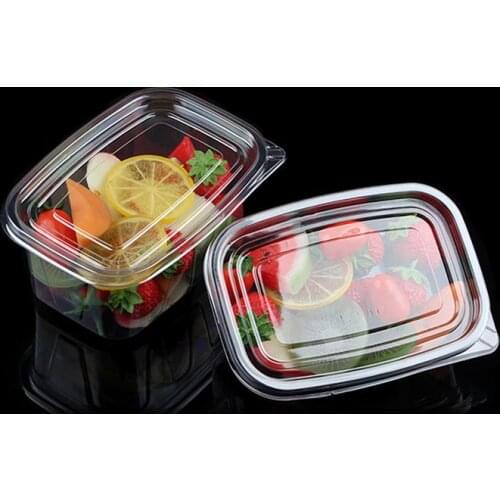 10/20/30/40pcs Disposable Plastic Boxes With Cover Portable Fruits Case One-Off Takeout Food Containers For Home (Transparent)