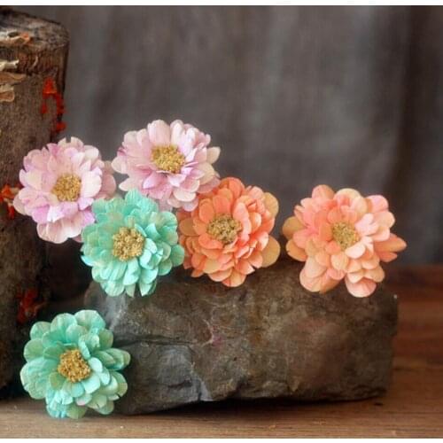 5pcs 5-6cm Dried Lewisia Cotyledon Flower For Craft Gift Material Accessory Decoration DIY Flower Bouquet Miniascape Making