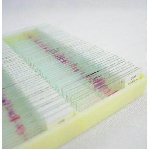 100pcs Education Histology Tissue Prepared Slides Human Histological Microscope Slides Set