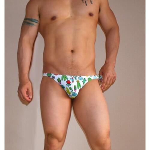 WD219E sexy cactus rainbow printing swimsuits men swimwear beach shorts board swim briefs shorts bikinis bathing suit small size