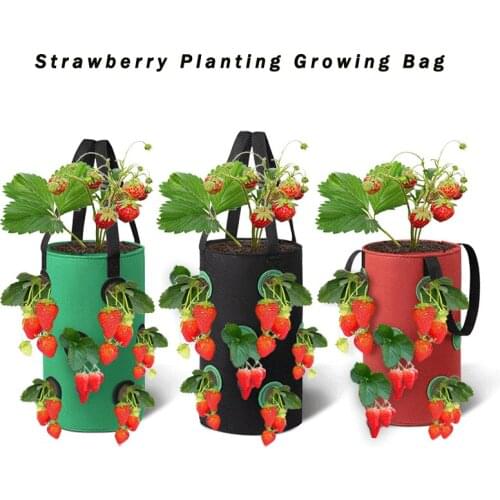 Garden Supplies Strawberry Planting Growing Bag Multi-mouth Container Bags Grow Planter Root Bonsai Plant