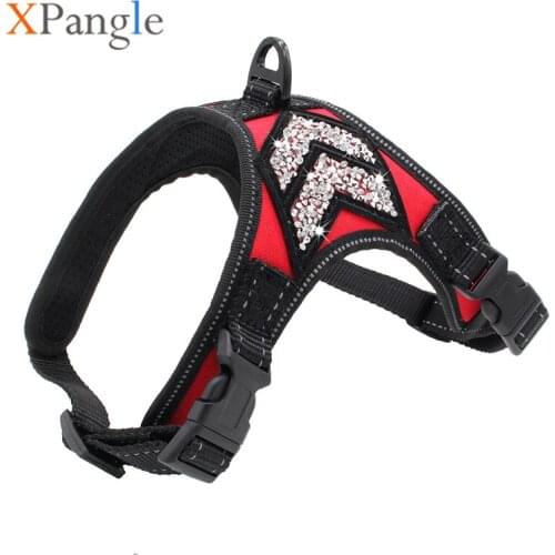 XPangle Home And Garden Products