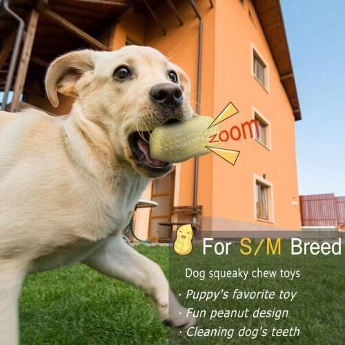 Funny Pet Dog Squeaky Toys For Small middle Dogs Bite Resistant Puppy Cat Dogs Toys Pets Rubber peanut clean tooth Chew Toy