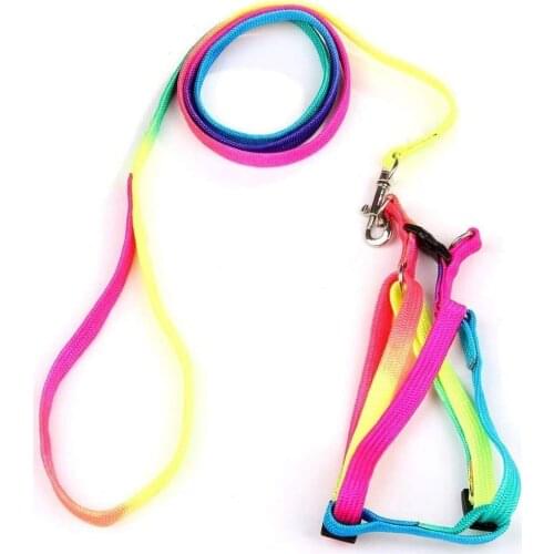Bird Harness and Leash Dog Traction Strap Rainbow Adjustable Puppy Walking for Small Dogs Cats Macaw Large Size