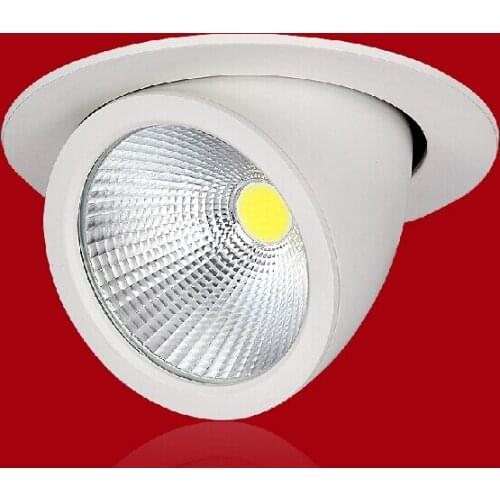 Wholesale LED Trunk lamp Downlight COB 15W/25W/40W Adjustable recessed Super Bright Indoor Light warm white cold white