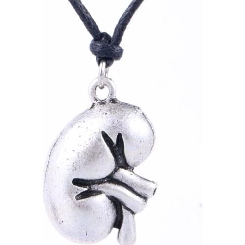 Punk Men 3D Human Science Anatomical Kidney Necklace Anatomy Jewelry Eco-friendly Metal Biology jewelry 18*25mm A211