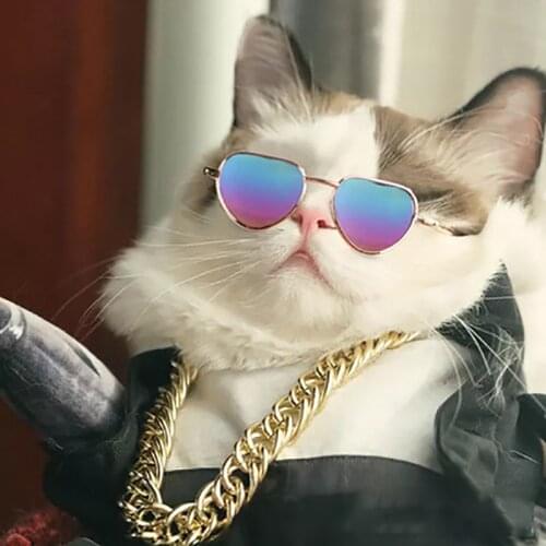 6 Colors New Arrival Cat Dog Pet Glasses Cute Eye-wear Pet Sunglasses Cool Pets Photos Props Accessories Wholesale