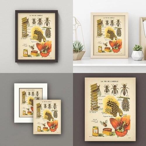Antique Bees Prints Natural Poster Insects Vintage French Honey Bee Wall Art Canvas Painting Sepia Toned Bee Diagram Wall Decor