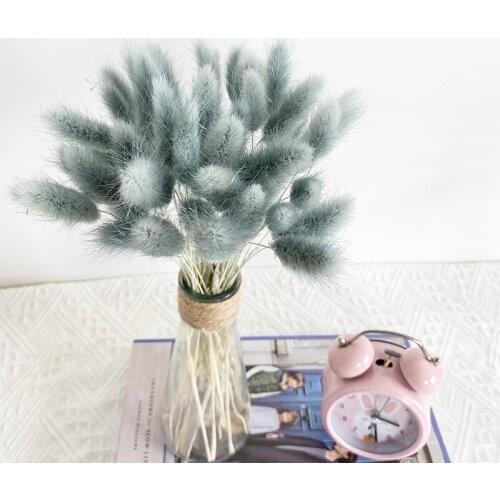 20Pcs,Rabbit Tail Grass Bunch Colorful Pampas Fleurs Real Dry Flower Bouquet Home Party Decor Decoration Mariage Romantique Chic