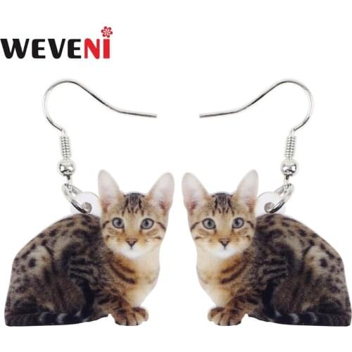 WEVENI Acrylic Sweet Cat Kitten Hot Long Dangle Drop Earrings Cute Animal Jewelry For Girls Women Pet Lovers Charms Dropshipping