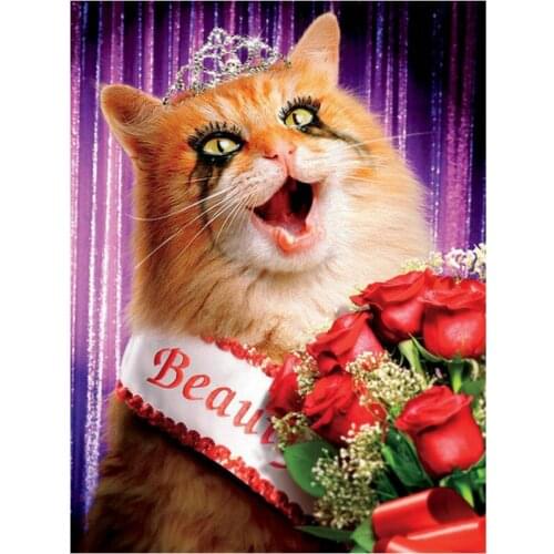 Diy 5d Diamond Painting Cross Stitch cat crafts rhinestones Diamond Embroidery animal picture square drill resin mosaic pattern