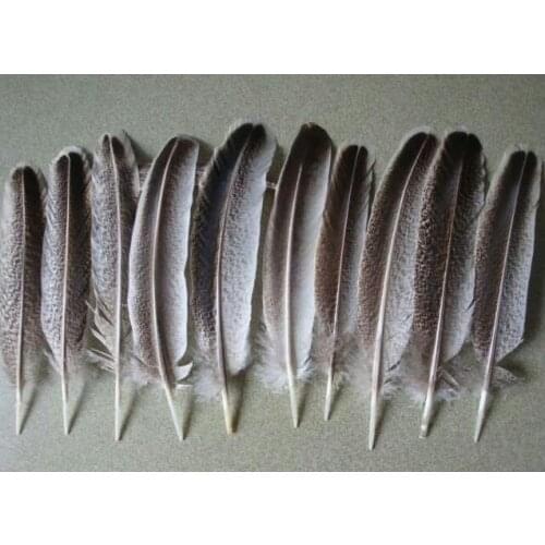 Free shipping 100pcs/lot 10-12 inches / 25-30cm long beautiful natural eagle feathers eagle plumage collection