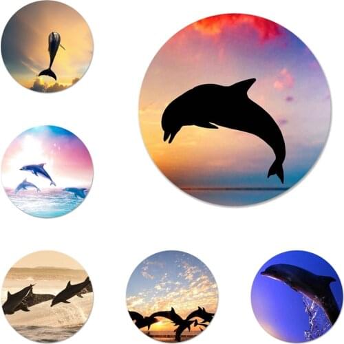 Sunset Jumping Dolphin ocean Icons Pins Badge Decoration Brooches Metal Badges For Backpack Decoration