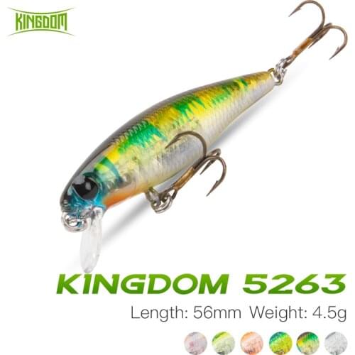 Kingdom Minnow Fishing Lure 38mm/1.7g 56mm/4.5g Sinking Hard Baits Fishing Wobblers For Seabass Perch Carp Pike Trout Fishing