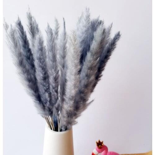 Wedding Home Decoration White Grey Pampas Grass Dried Flowers Bouquet Decor Props for Photo Artificial Plants Wholesale
