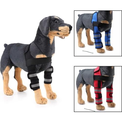 Dog Knee Brace Injuries Leg Brace Reflective Surgical Joint Wrap Canine Front Leg Arthritis Prevents Dog Wounds Heals
