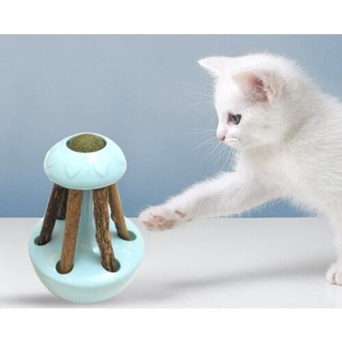 New Product Pet Educational Toy Catnip Tumbler Pet Toy Mint Self-hey Toy Pet Supplies