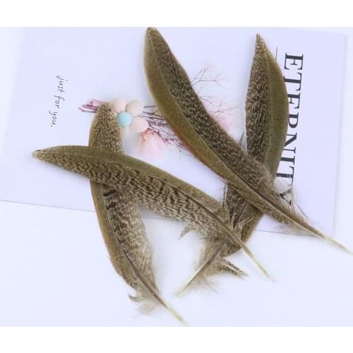 10Pcs Natural Rooster Feathers Tail 15-20CM High Quality Pheasant Plumes Crafts Carnival Stage Performance Supplies Accessories