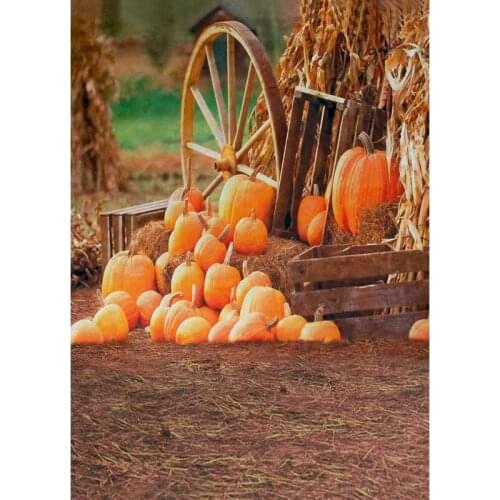 Thin Vinyl Photography Background Computer Printed Children Backdrops Wood floor and Flower Backdrop for Photo Studio F-1296