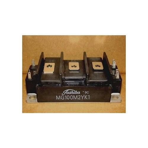 MG100M2YK1