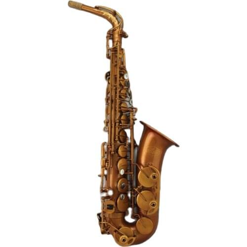 Professional Vantage nickel color Alto Saxophone