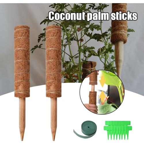 40CM Plant Climbing Moss Rods Coir Totem Pole with 15 Plant Tag and 2 Meter Adjustable Straps for Monstera Plants can CS