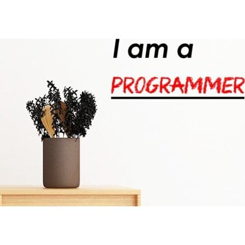 Quote I Am A Programmer Removable Wall Sticker Art Decals Mural DIY Wallpaper for Room Decal