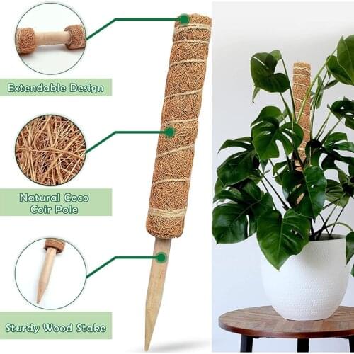 Reusable Plant Climbing Stand Durable Flower Plants Support For Balcony Garden Courtyard Easy To Use Сад И Огород