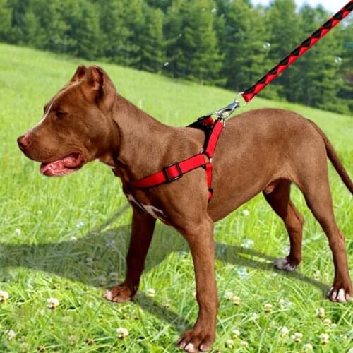 150cm Thick Pet Leash Collar Harnesses Set for 2.5-70kg Medium Large Dogs 1.5-2.5cm Dia Rope Safety Belt Vest Golden Retriever