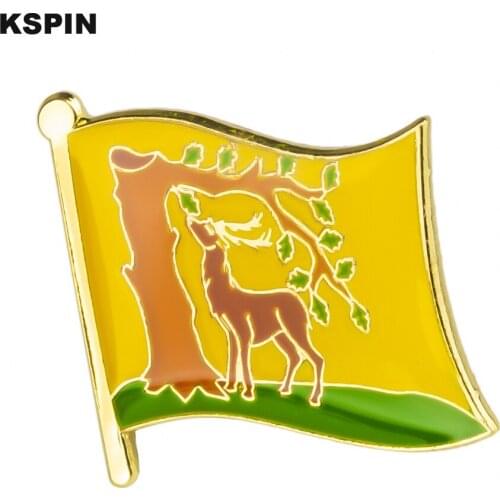 BERKSHIRE United Kingdom Flag Badge Country Flag Badges Lapel Pin Brooch Brooch Icons XY0392