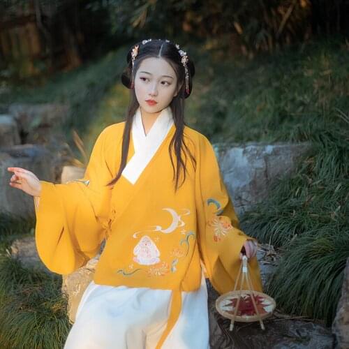 Ming Dynasty Ancient Hanfu Costumes Chinese Traditional Female Daily Elegant Clothes Women Cosplay Performance Clothing DQL4629